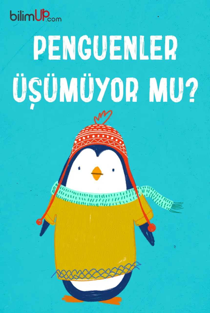 Penguenler Üşümüyor Mu?