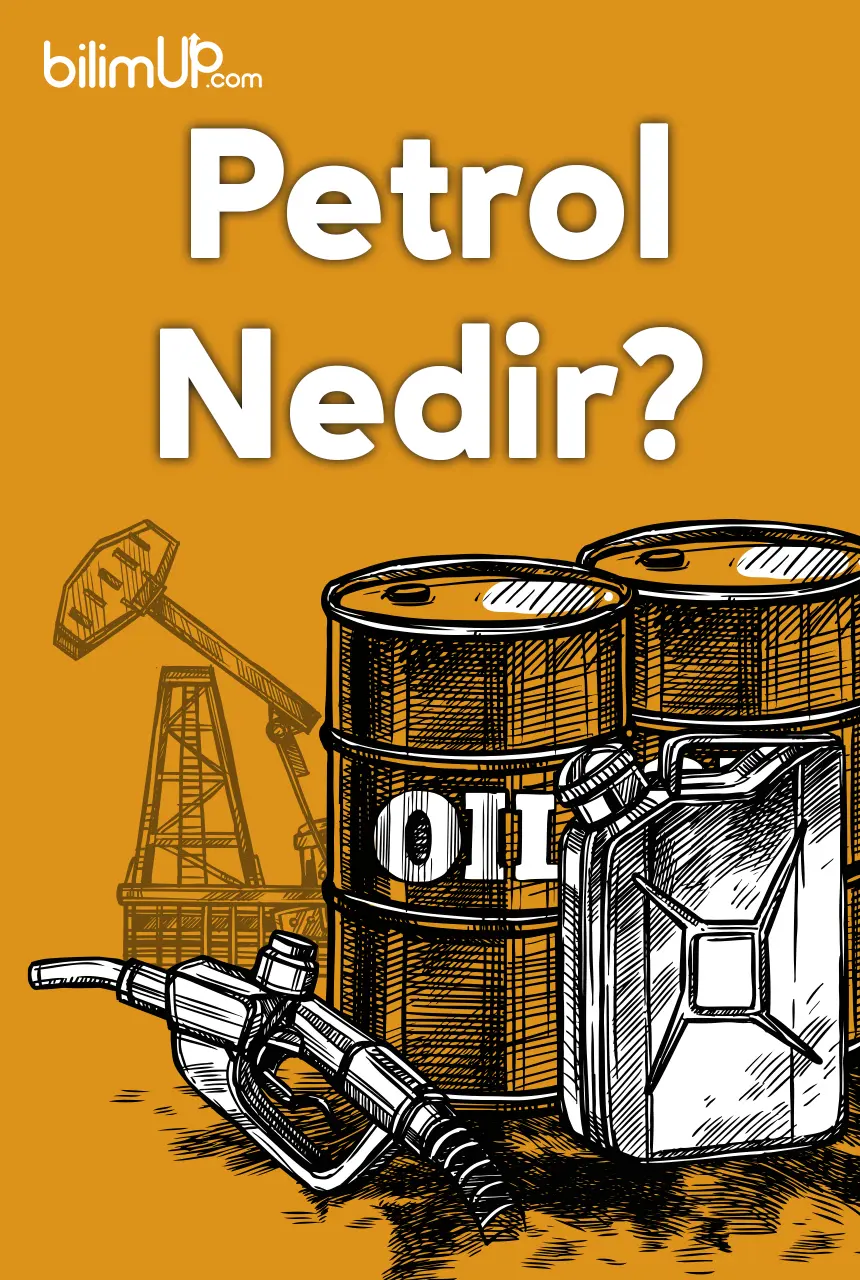Petrol Nedir?
