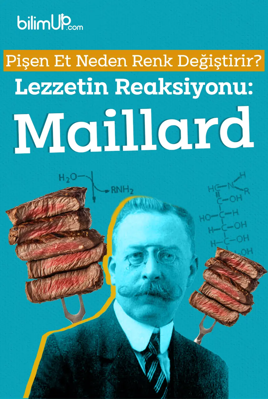 Pişen Et Neden Renk Değiştirir? Lezzetin Reaksiyonu : Maillard