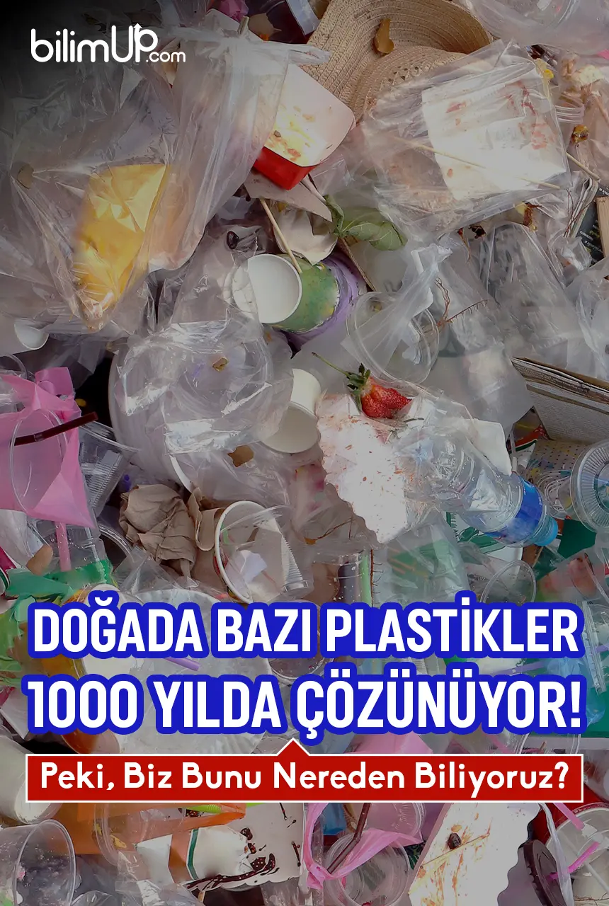 Doğada Bazı Plastikler 1000 Yılda Çözünüyor! Peki, Biz Bunu Nereden Biliyoruz?