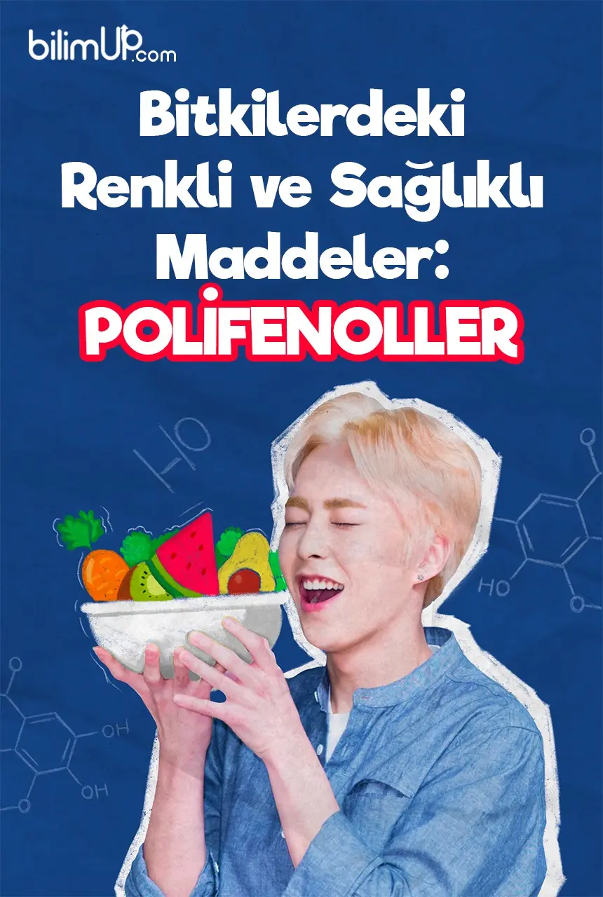 Bitkilerdeki Renkli ve Sağlıklı Maddeler: Polifenoller