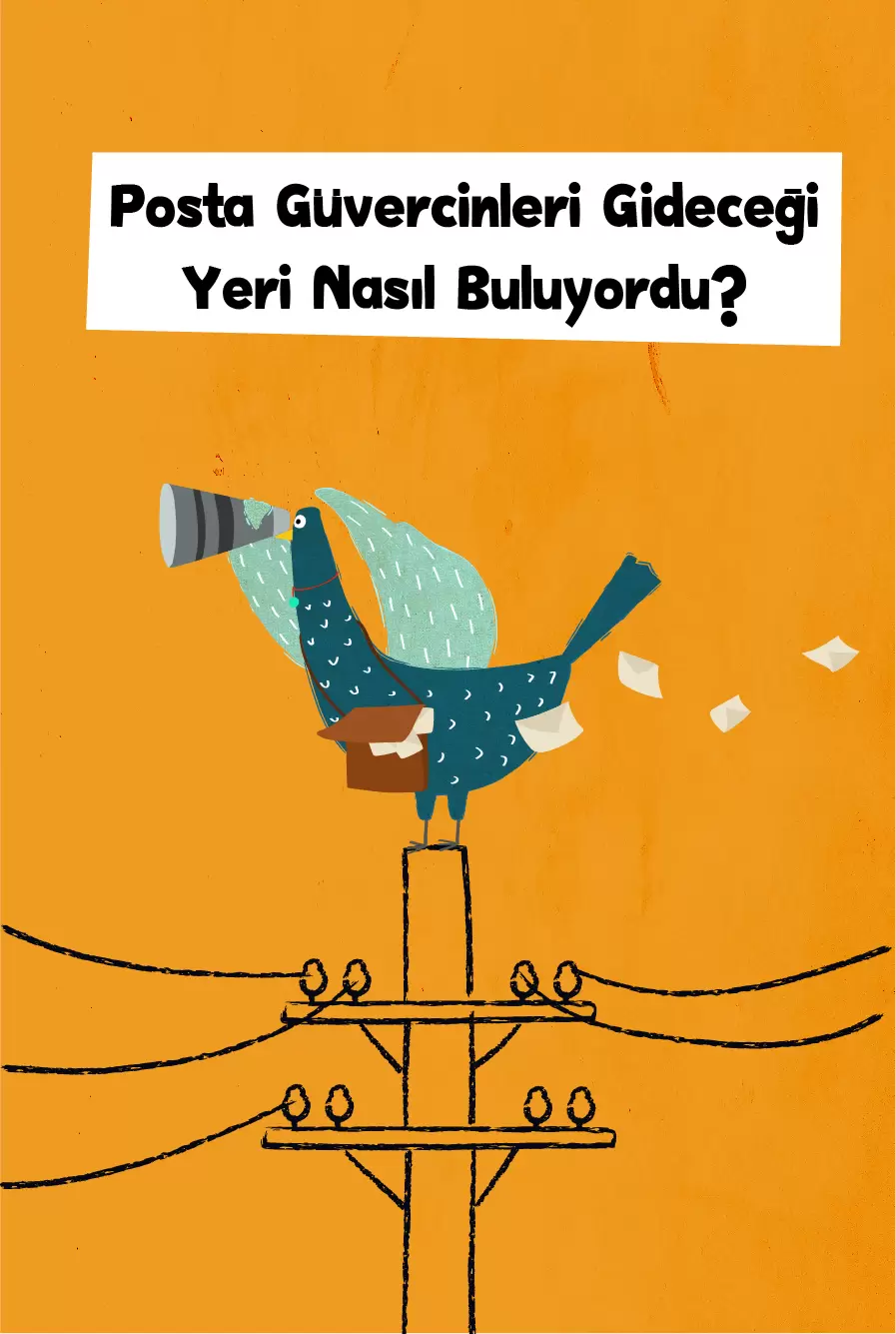 Posta Güvercinleri Gideceği Yeri Nasıl Buluyordu?