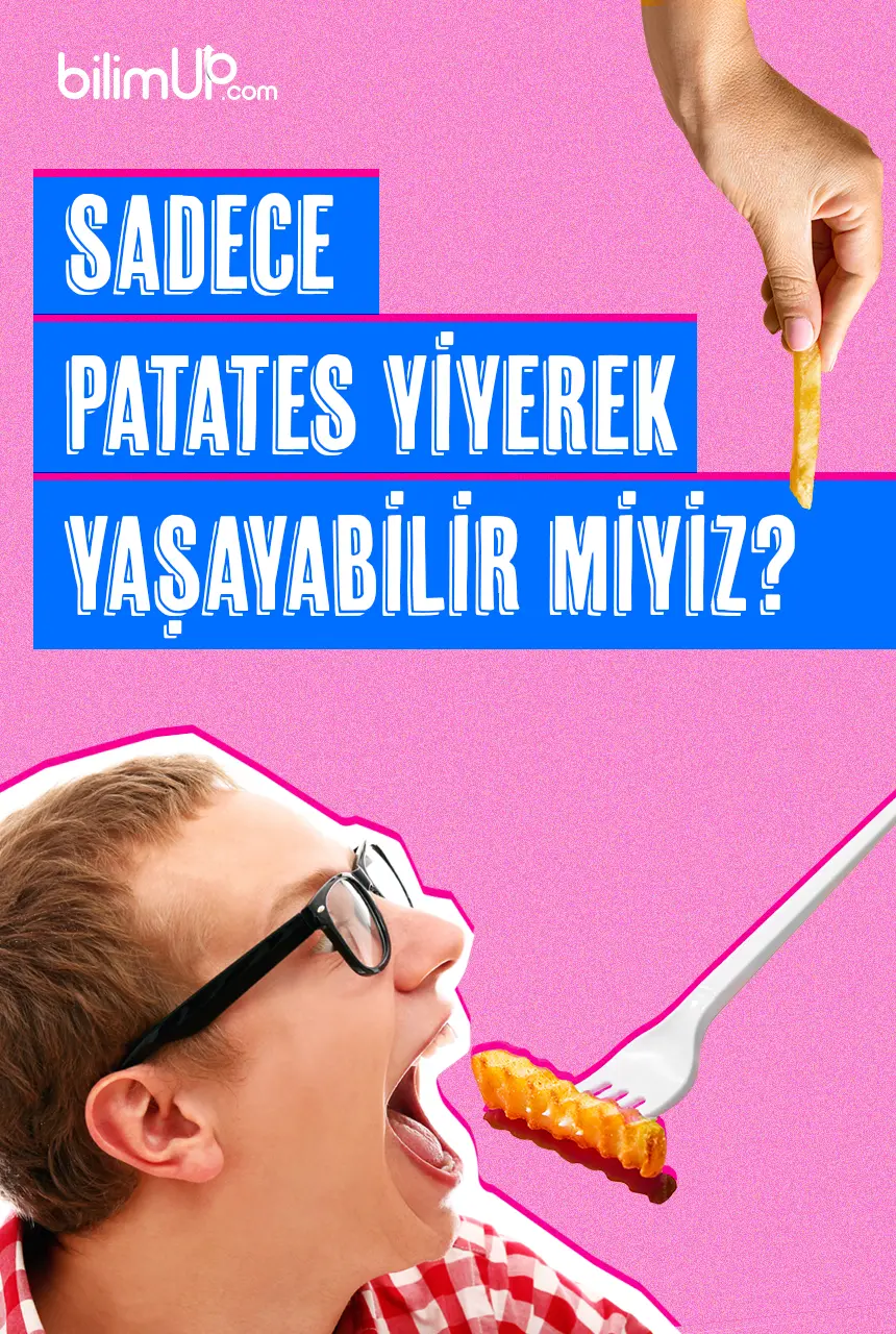 Sadece Patates Yiyerek Yaşayabilir miyiz?