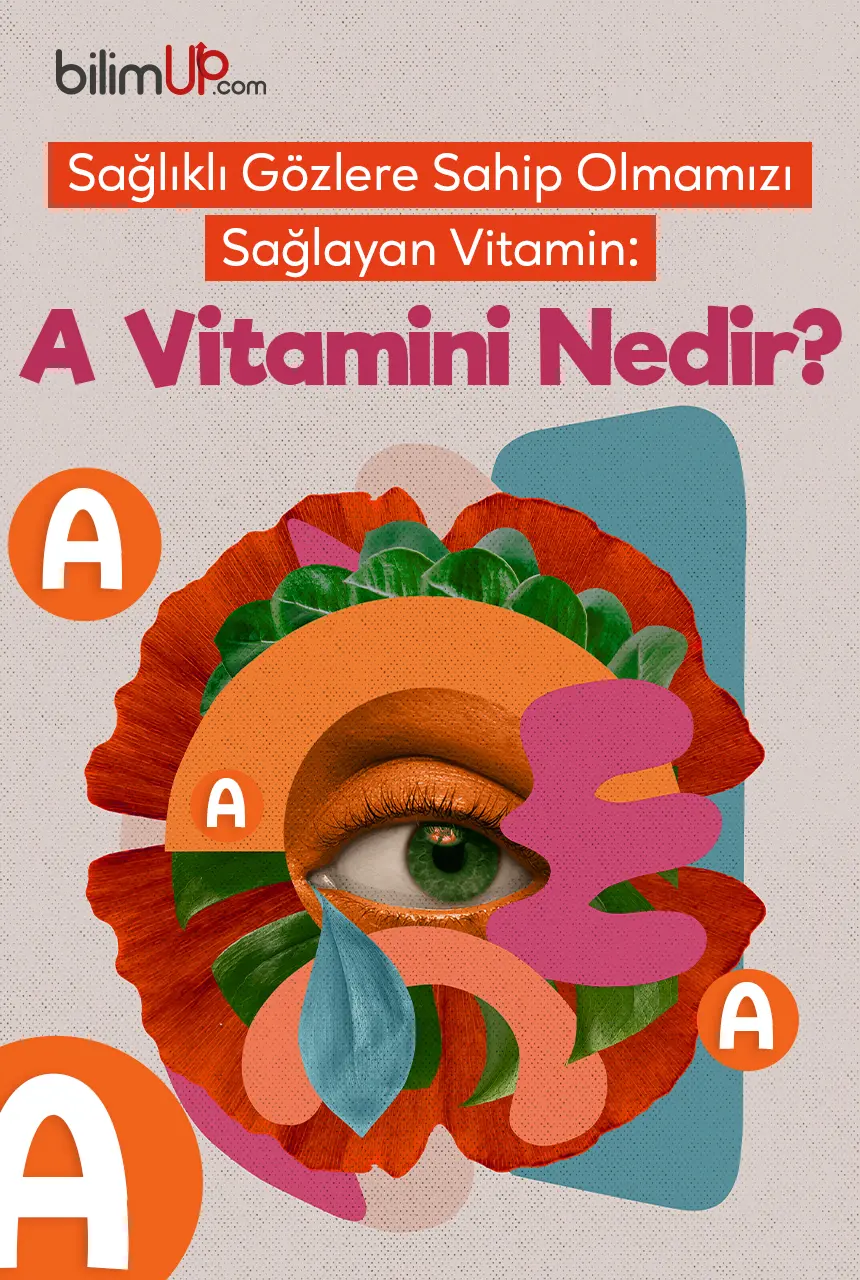Sağlıklı Gözlere Sahip Olmamızı Sağlayan Vitamin: A Vitamini Nedir?
