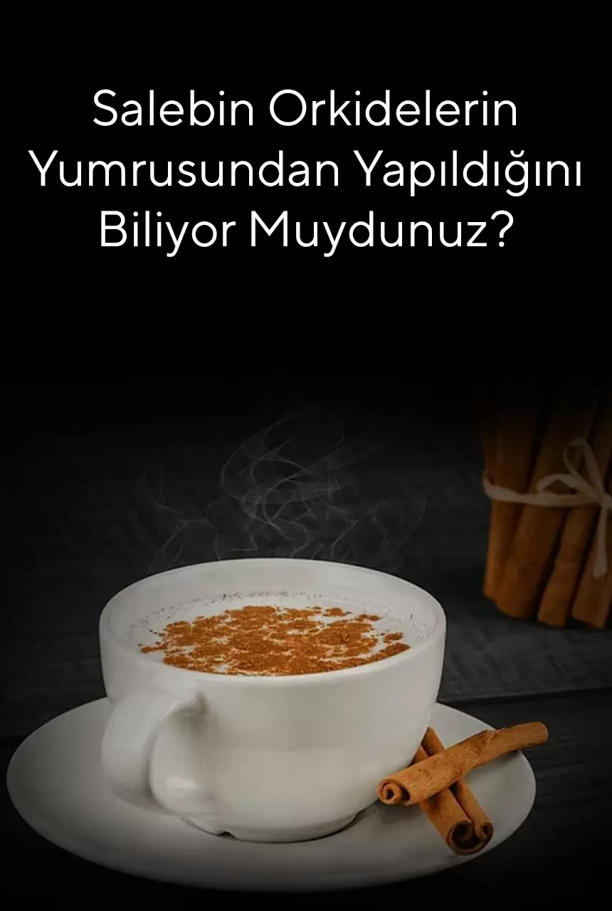 Salep Neyden Yapılır?
