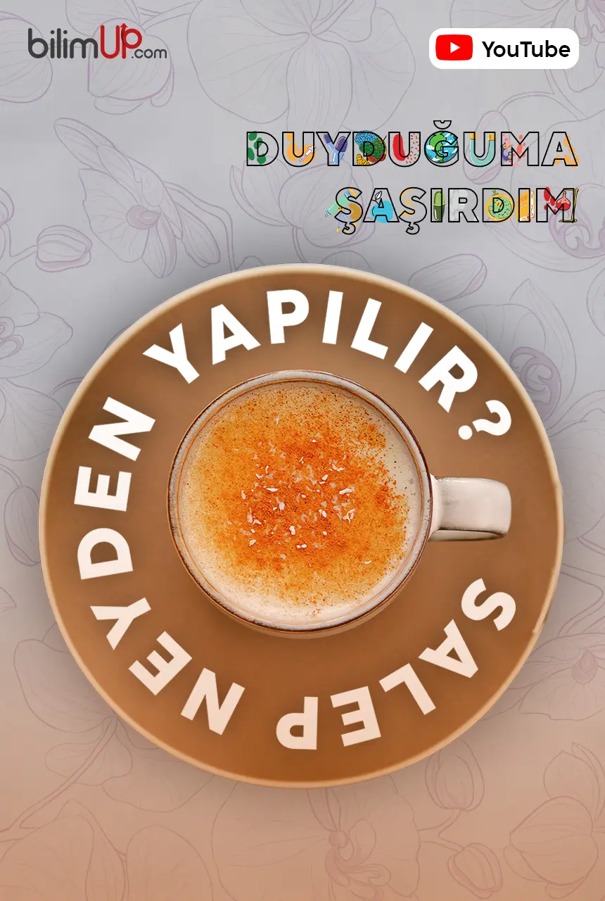 Salep Neyden Yapılır? - Video