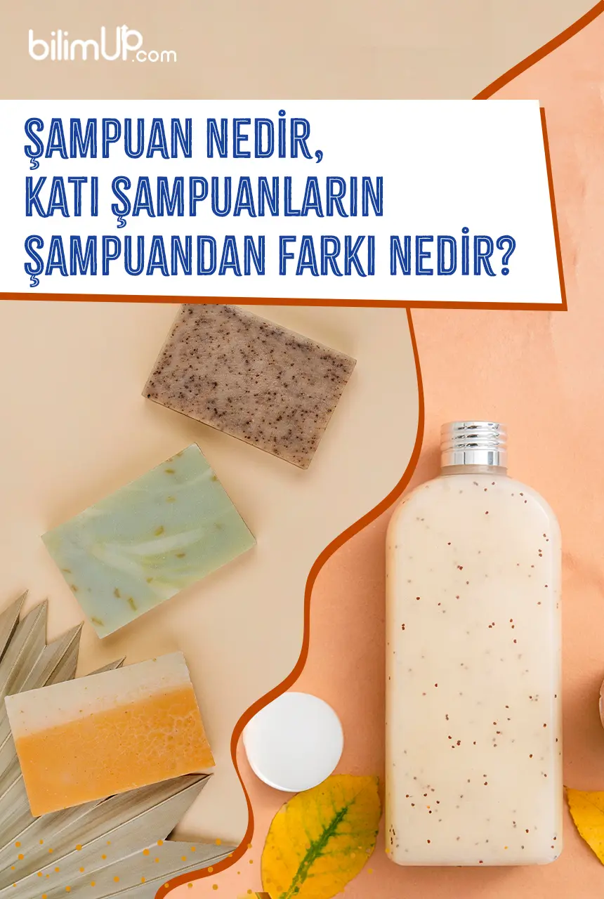 Şampuan Nedir, Katı Şampuanların Şampuandan Farkı Nedir?