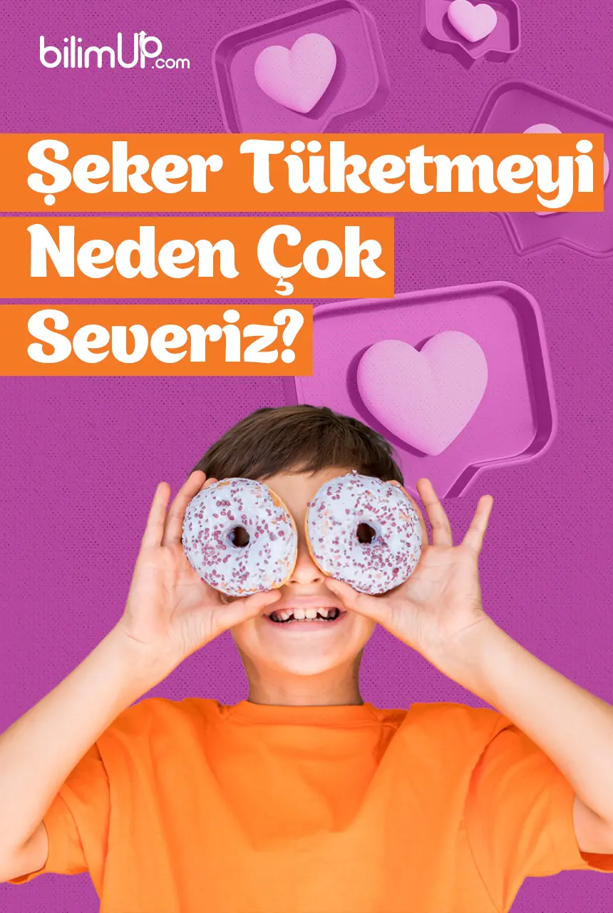 Şeker Tüketmeyi Neden Çok Severiz?