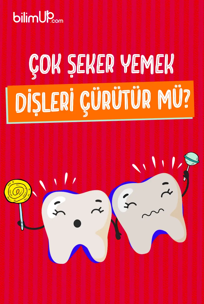 Çok Şeker Yemek Diş Çürütür mü?