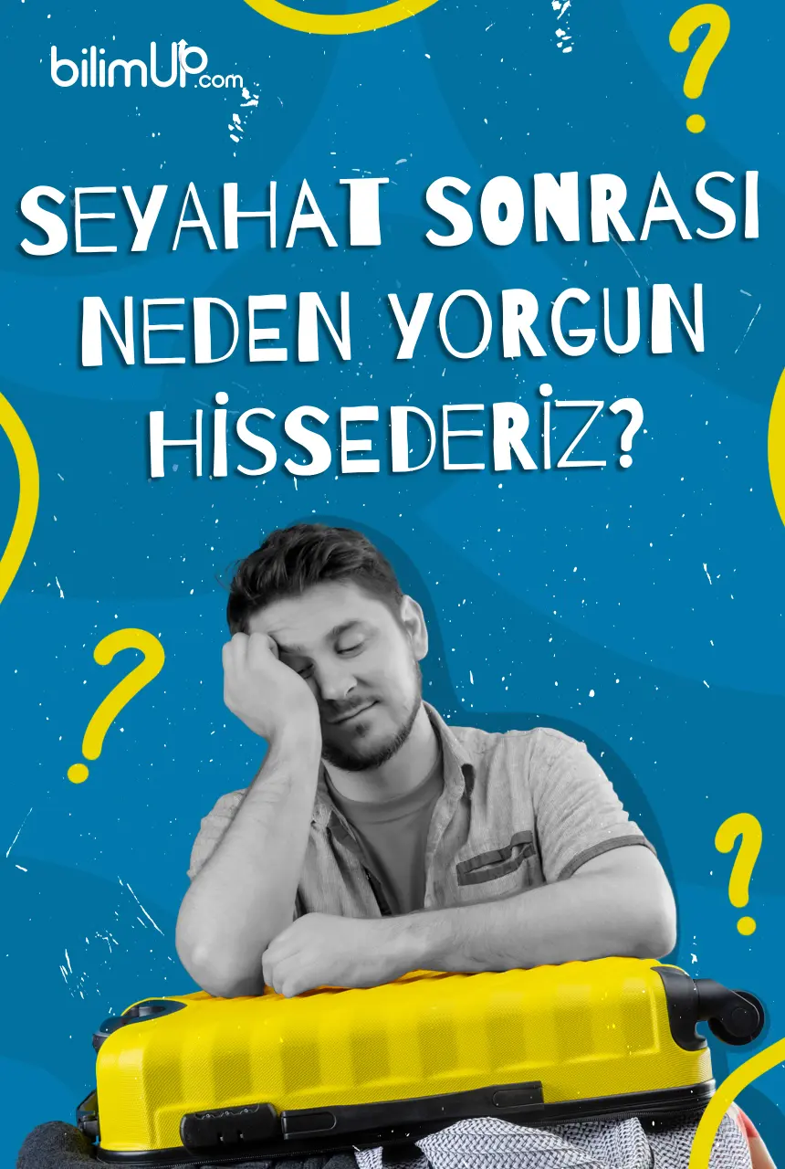 Seyahat Sonrası Neden Yorgun Hissederiz?
