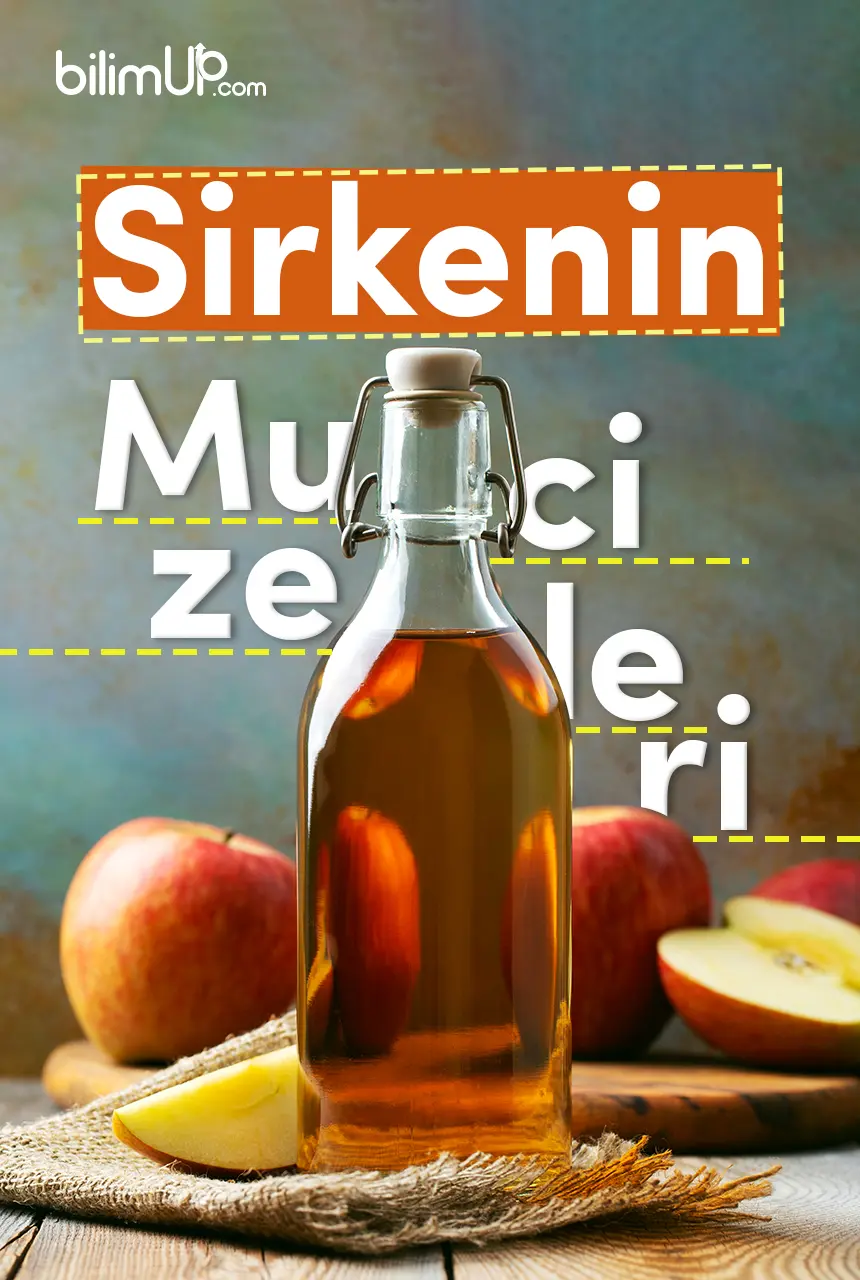 Sirkenin Mucizeleri