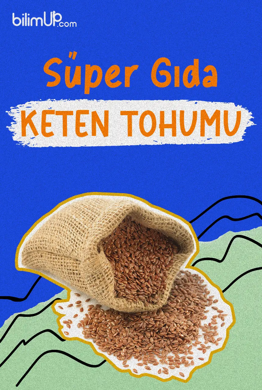 Keten Tohumu Nedir? Sağlığa Faydaları