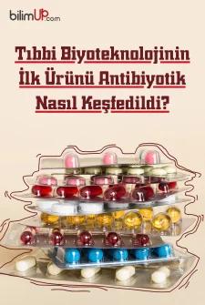 Tıbbi Biyoteknolojinin İlk Ürünü Antibiyotik Nasıl Keşfedildi?
