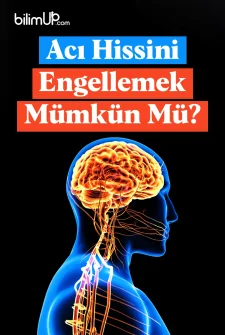 Acı Hissini Engellemek Mümkün Mü?
