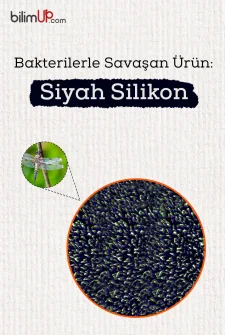 Bakterilerle Savaşan Ürün: Siyah Silikon