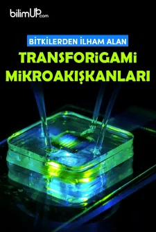 Bitkilerden İlham Alan Transforigami Mikroakışkanları