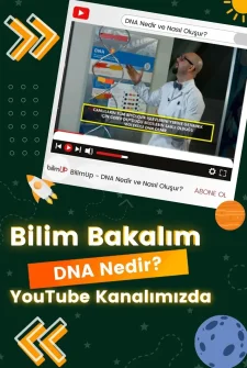 DNA Nedir ve Nasıl Oluşur?