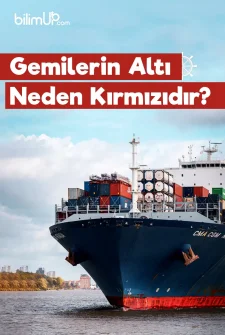 Gemilerin Altı Neden Kırmızıdır?