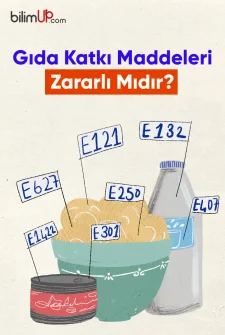 Gıda Katkı Maddeleri Zararlı Mıdır?
