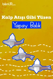 Kalp Atışı Gibi Yüzen Yapay Balık