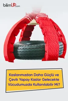 Kaslarımızdan Daha Güçlü "Yapay Kaslar" Vücudumuzda Kullanılabilir Mi?
