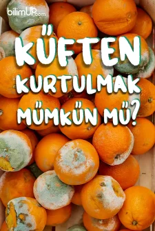 Küften Kurtulmak Mümkün Mü? Küften Kurtulmanın Yolları