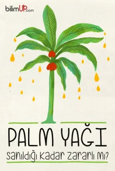 Palm Yağı Zararlı Mı?