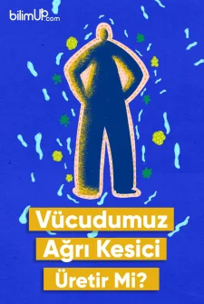 Vücudumuz Ağrı Kesici Üretir Mi? Tükürük, Ağrı Kesici Görevi Görüyor.