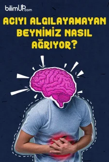 Acıyı Algılayamayan Beynimiz Nasıl Ağrıyor?