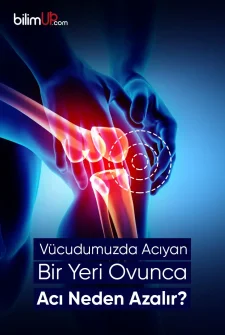 Vücudumuzda Acıyan Bir Yeri Ovunca Acı Neden Azalır?