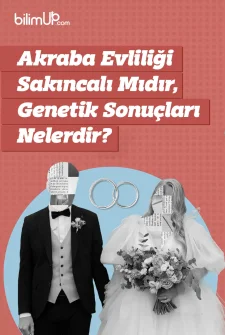Akraba Evliliği Sakıncalı Mıdır, Genetik Sonuçları Nelerdir?