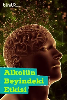 Alkolün Beyindeki Etkisi