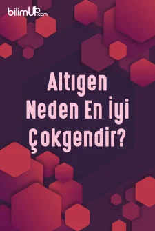 Altıgen Neden En İyi Çokgendir?