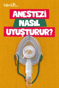 Anestezi Nasıl Uyuşturur?