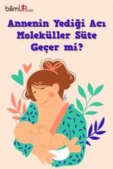 Annenin Yediği Acı Moleküller Süte Geçer mi? Emziren Anneler Acı Yiyebilir mi?