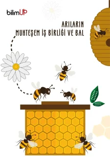Arıların Muhteşem İş Birliği ve Bal