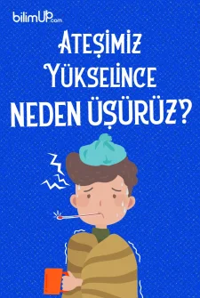 Ateşimiz Yükselince Neden Üşürüz?