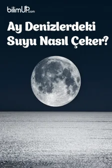 Ay Denizlerdeki Suyu Nasıl Çeker?