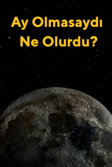 Ay Olmasaydı Ne Olurdu?
