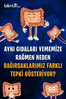 Aynı Gıdaları Yememize Rağmen Neden Bağırsaklarımız Farklı Tepki Gösteriyor?