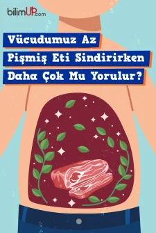 Vücudumuz Az Pişmiş Eti Sindirirken Daha Mı Çok Yorulur?