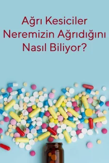 Ağrı Kesiciler Neremizin Ağrıdığını Nereden Biliyor?