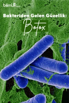 Bakteriden Gelen Güzellik: Botoks