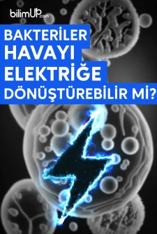 Bakteriler Havayı Elektriğe Dönüştürebilir Mi?