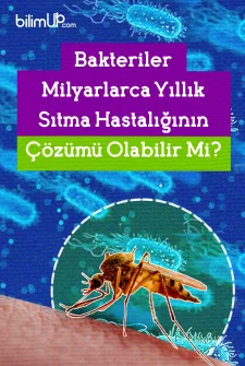 Bakteriler Milyarlarca Yıllık Sıtma Hastalığının Çözümü Olabilir Mi?