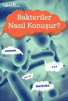Bakteriler Nasıl Konuşur?