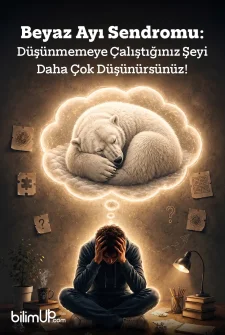 Beyaz Ayı Sendromu: D&uuml;ş&uuml;nmemeye &Ccedil;alıştığınız Şeyi Daha &Ccedil;ok D&uuml;ş&uuml;n&uuml;rs&uuml;n&uuml;z!