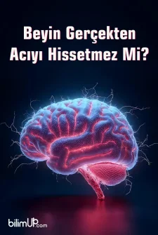 Beyin Ger&ccedil;ekten Acıyı Hissetmez Mi?