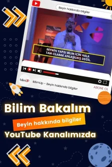 Beyin Hakkında Bilgiler