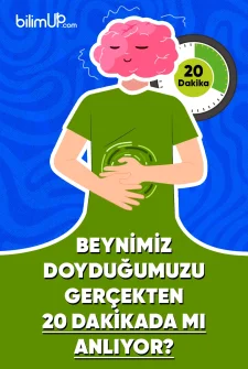 Beynimiz Doyduğumuzu Gerçekten 20 Dakikada Mı Anlıyor?